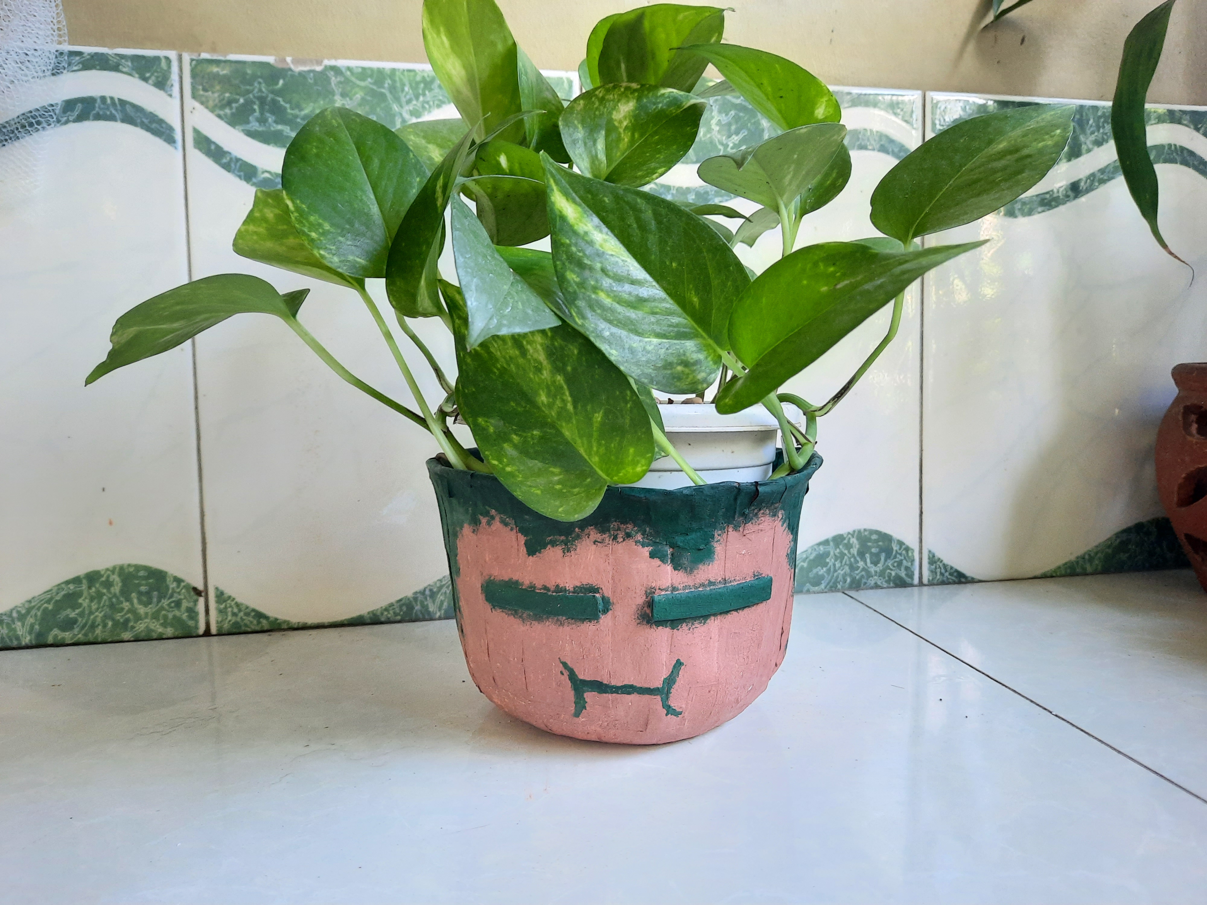 Plantie